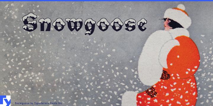 Snowgoose typeface specimen