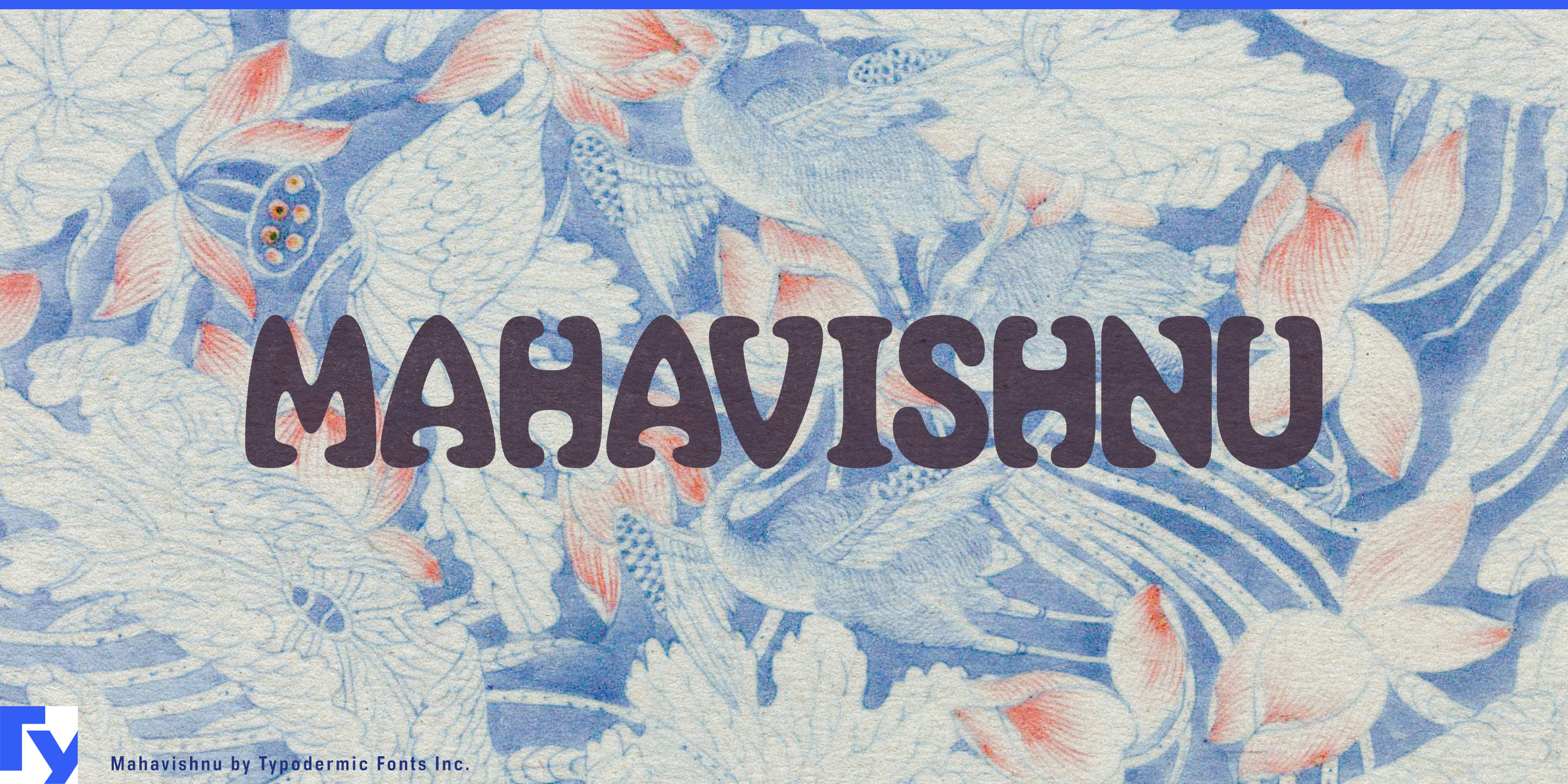 Mahavishnu specimen 1